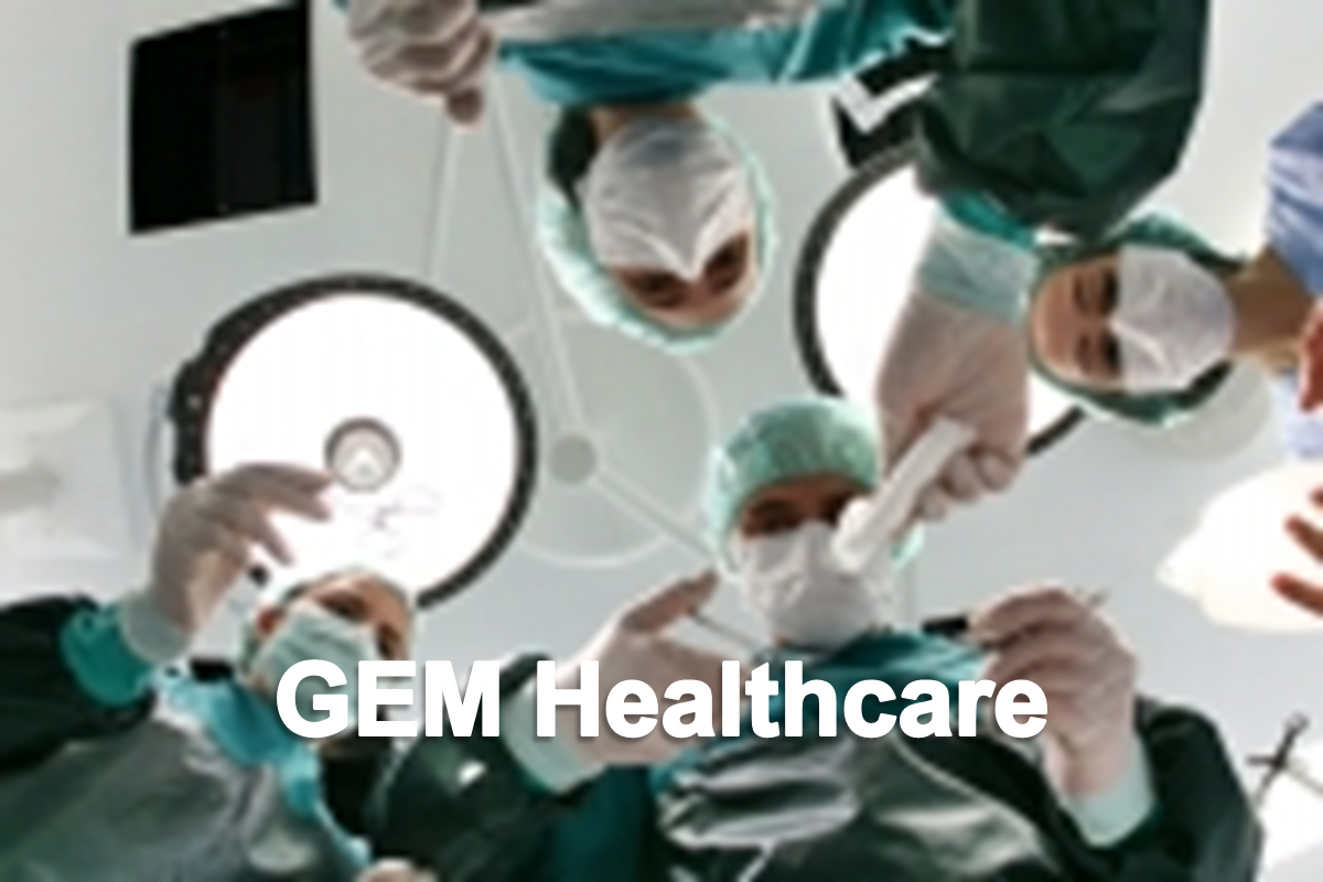GEM Healthcare - Lokman finished the year on a high note, EBITDA jumps